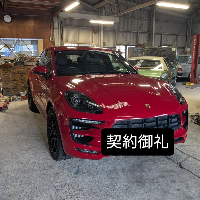 画像256